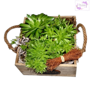 Composición de crasa