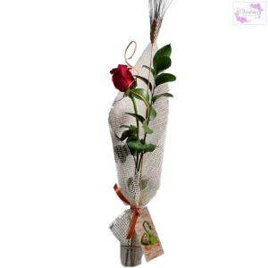 Rosa de Sant Jordi simple en dantela