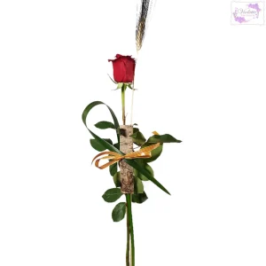 Rosa triparte modelo 1